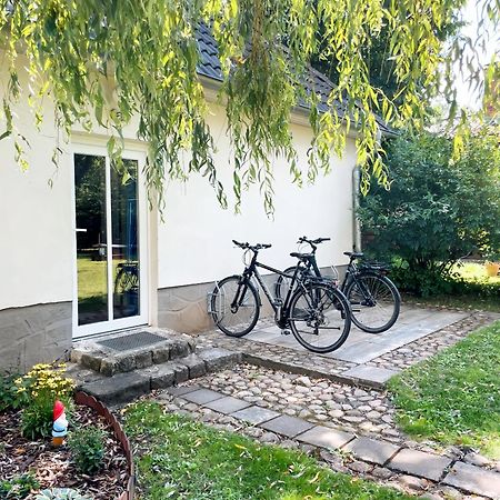 Schoene Ferienwohnung Mit Grossem Garten Und Terrasse, #3 Зенфтенберг Екстериор снимка